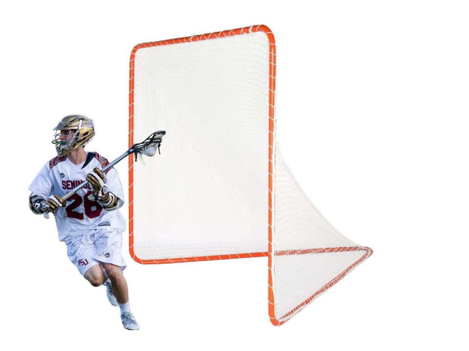 lacrosse goals